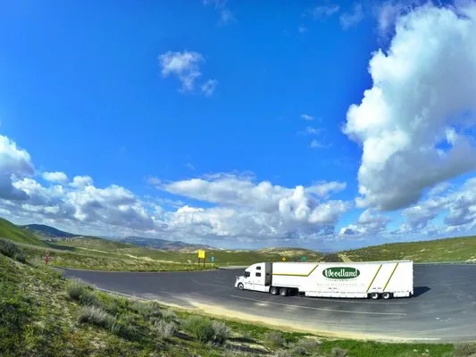 Woodland Moving And Warehouse INC